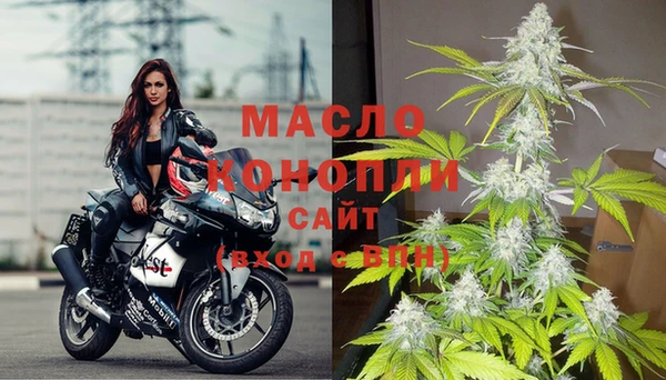 крисы Лагань