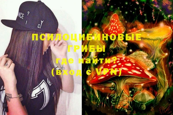 ГАЛЛЮЦИНОГЕННЫЕ ГРИБЫ Лихославль