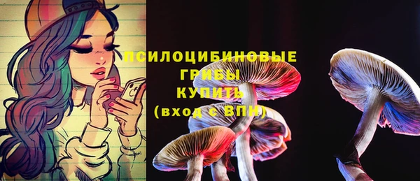 хмурый Лиски