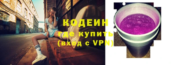 хмурый Лиски