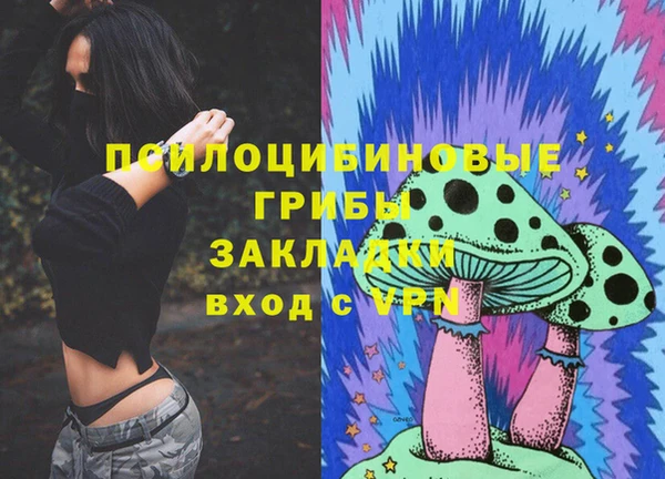крисы Лагань