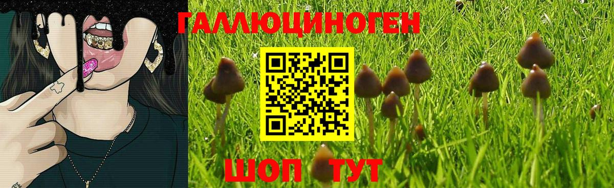 Узловая  Псилоцибиновые грибы мухоморы  Галлюциногенные грибы мухоморы  цены   Вход с VPN 